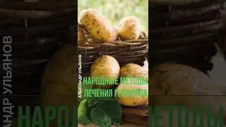Лечение геморроя народными методами #проктолог #лед #мед #shorts #свечи #геморрой #народнаямедицина