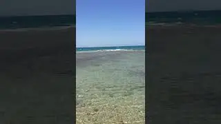 Relaxation Moments - Red Sea - Egypt