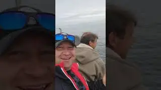 Касатка в Тихом Океане