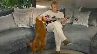 Sofology | Owen Wilson | Alpha Century | Online & Social Film