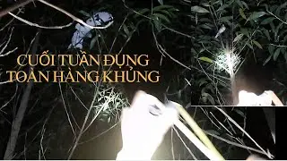 The Night Hunting Challenge with a Slingshot