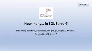 How many… in SQL Server? Instance count, Database Count, Object count, Index count...