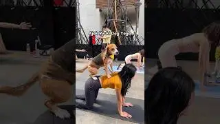 FIRST TIME TO DO YOGA WITH ANABUL‼️😍🧘🏻‍♀️ 