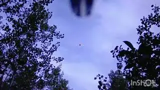 Forest Grouse UT 2023 - Shotkam