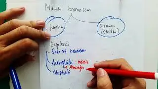 Mutasi Gen dan Kromosom Kelas 12 SMA