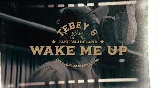 Wake Me Up (The Bluegrass Rendition) Tebey & Jake Vaadeland and the Sturgeon River Boys