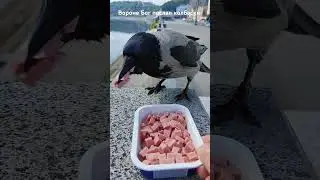 Carlusha has a hearty breakfast