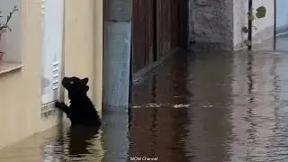 Нова Каховочка ❤️