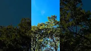 What a beautiful day 