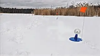 Рыбалка на жерлицы! Мы уже не ждали, а попали на ЖОР ЩУКИ! Ловля Щуки, на жерлицы!