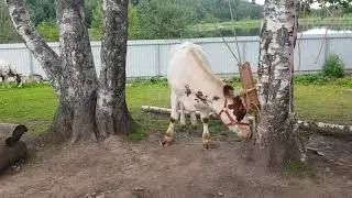 Когда ты видишь как дети легко и здорово качаются на качельке и хочешь так же, но не знаешь как)))🤣