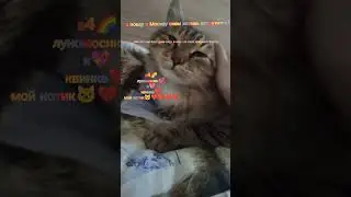 #алекс