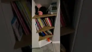 Светлая и очень вместительная прихожая от KOMANDOR - PITER. Отзыв от Екатерины.