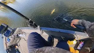 A Good Day Of Fishing (The Struggles)