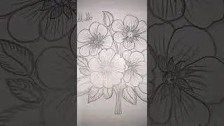 Risco para bordar ou pintar #artesanato #bordado #colorirdesenhos #desenhos #risco #art #drawing