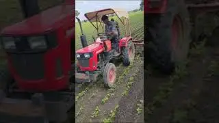 mini tractor in soyabean interculture सोयाबीन में छोटे ट्रेक्टर से डोरे चलाते हुए