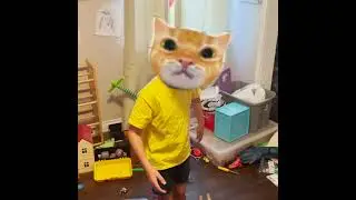 Stronk Cat Rainbow Friends #shorts