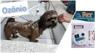 COMO USAR OZONIO NO BANHO E TOSA - Gerador O3PET banho com ozonio para pets