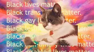 My Cat Spitting Straight Facts!