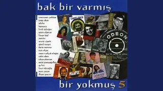 Kalbi Kırık Serseri