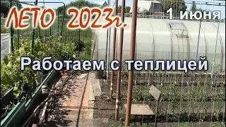 ЛЕТО. Работаем в теплице.