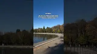 ВАШ БИЛЕТ В ПРОСТРАНСТВО УДАЧИ И ПОДЗАРЯДКИ в описании ⬇️
