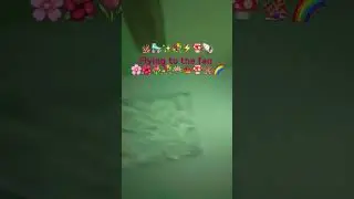 #fairy