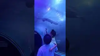 Fun time with Rajveer at underwater tunnel aquarium❤️ #bawejabrothers #dadson #papamerijaan #funtime