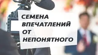 Семена впечатлений от непонятного || Профессия разбрасывать семена впечатлений