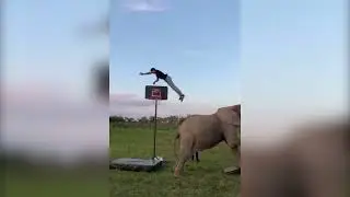 Tu amigo el gordito...