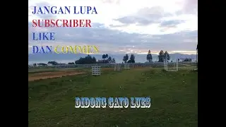 DIDONG GAYO LUES VOL 1