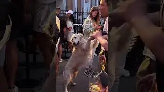 Хорошие новости!