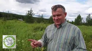 Как забыть о проблемах с поджелудочной-биче нашего времени (часть 1)