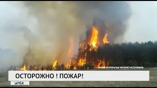 Новости «РБК-Омск» от 14.04.2020