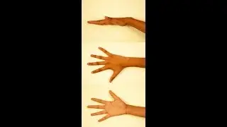 HAND modeling in 3ds max pt1