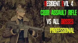 CQBR Assault Rifle MAXED OUT is INSANE (ALL BOSSES ON PROFESSIONAL)
