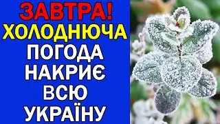 МЕРЗНУТИ БУДЕ ВСЯ УКРАЇНА : ПОГОДА НА ЗАВТРА