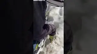 12 апреля 2024 г.