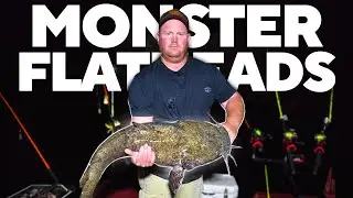 Surprise MONSTER FLATHEAD Lives Under Barges! Night River Fishing
