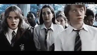 Драко и Гермиона.