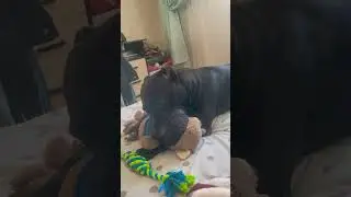 залипает) 