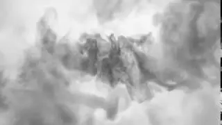 Colorful Smoke Reveal Logo Video Intro Animation