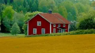 Swedish folk music - Triakel - Alla Gossar