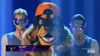 Masked singer Rottweiler preform alive by sia