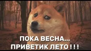 ОЖИДАНИЕ КОНЦА ЭТОЙ АДСКОЙ НЕДЕЛИ... И ОЖИДАНИЕ НАЧАЛА ЛЕТА.