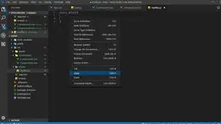 Vue js - Mixins