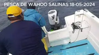 PESCA DE WAHOO EN SALINAS 18-05-2024
