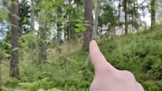Fouler puun kaato hommat minuutissa