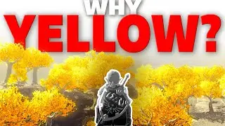 Why the Sky Islands Have Yellow Trees