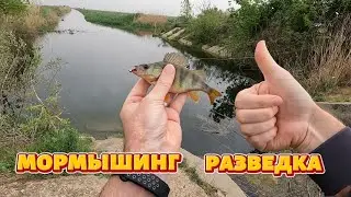 Мормышинг разведка.
